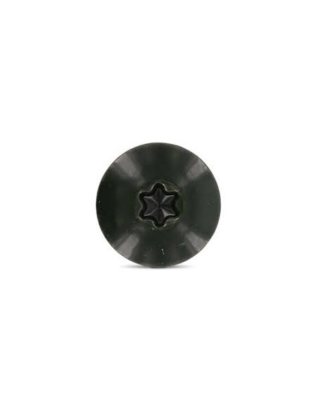 Parafusos rosca com cabeça de tremoço TORX T20 4,8X25 diâmetro da cabeça 12.3 Aço inoxidável A2 RAL6009 verde