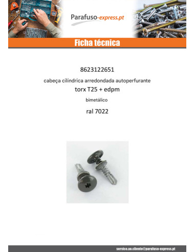 Autoperfurante cabeça cilíndrica panela TORX T25 5,5 x 26 +EPDM Bimetal RAL7022 cinzento terra