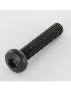 Parafuso de metais cabeça abaulada larga Aço inoxidável A2 M5X25 Preto TORX T20
