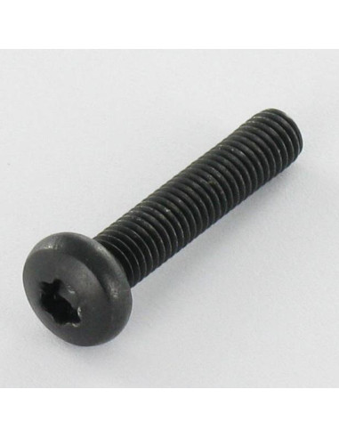Parafuso de metais cabeça abaulada larga Aço inoxidável A2 M5X25 Preto TORX T20