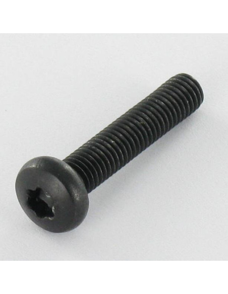 Parafuso de metais cabeça abaulada larga Aço inoxidável A2 M5X25 Preto TORX T20