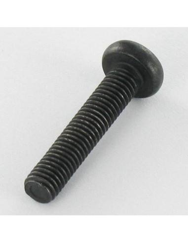 Parafuso de metais cabeça abaulada larga Aço inoxidável A2 M5X25 Preto TORX T20