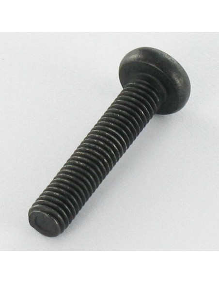 Parafuso de metais cabeça abaulada larga Aço inoxidável A2 M5X25 Preto TORX T20