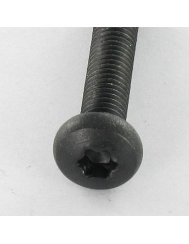 Parafuso de metais cabeça abaulada larga Aço inoxidável A2 M5X25 Preto TORX T20