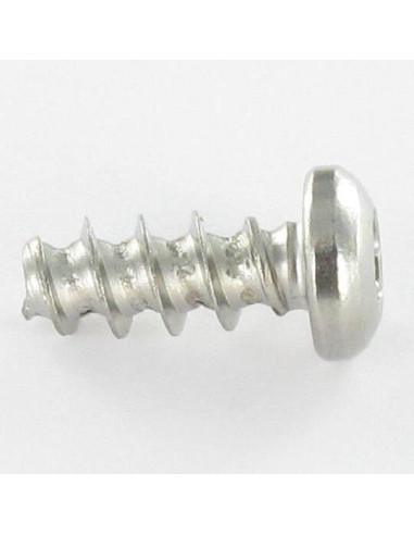 Parfuso de pvc cabeça abaulada larga 5X12 TORX T20 Aço inoxidável A2