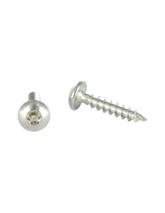PARAFUSO dobradiça Seguro TORX T30 com pino 6X50 Aço inoxidável A2