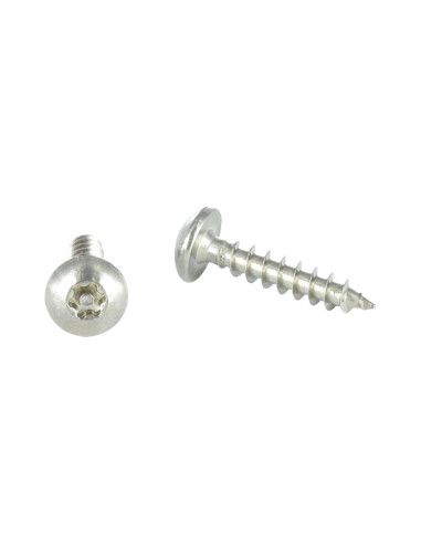 PARAFUSO dobradiça Seguro TORX T30 com pino 6X50 Aço inoxidável A2