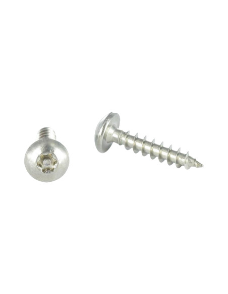PARAFUSO dobradiça Seguro TORX T30 com pino 6X50 Aço inoxidável A2
