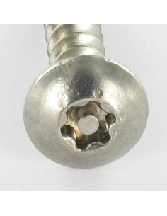 PARAFUSO dobradiça Seguro TORX T30 com pino 6X50 Aço inoxidável A2 2
