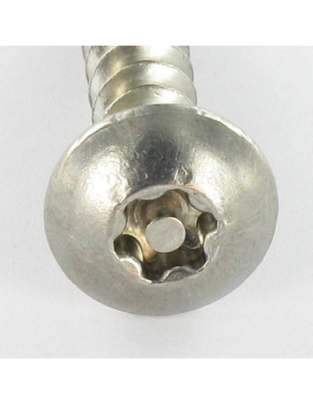 PARAFUSO dobradiça Seguro TORX T30 com pino 6X50 Aço inoxidável A2