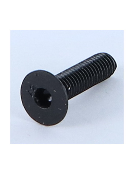 Parafuso de metais Aço inoxidável A2 cabeça fresada hexagonal oca FHC chave de 3 M5X20 Preto rosca total