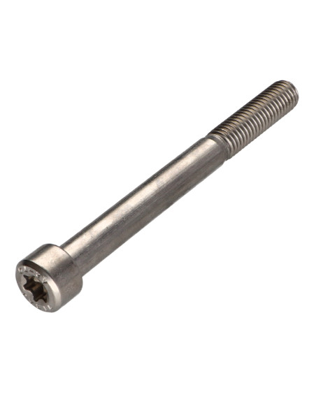 Parafuso de metais cabeça cilíndrica TORX T50 Aço inoxidável A2 M10X100 roscado sobre 32