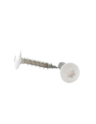 PARAFUSO dobradiça 6X30 rosca total TORX T30 Aço inoxidável A2 lacado a branco RAL9016 branco de sinalização