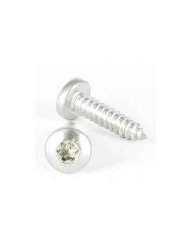 PARAFUSO Parafuso de chapa cabeça abaulada larga TORX T25 4,8 x 9,5 Aço inoxidável A4