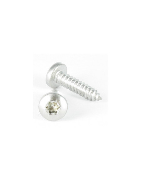 PARAFUSO Parafuso de chapa cabeça abaulada larga TORX T25 4,8 x 9,5 Aço inoxidável A4