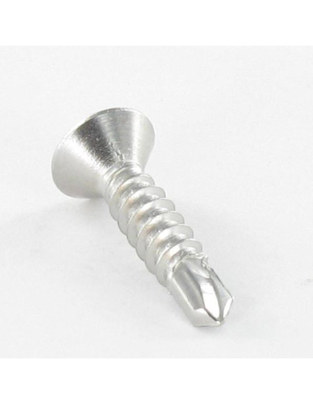 Autoperfurante Aço inoxidável A2 cabeça fresada 5,5 x 32 TORX T25