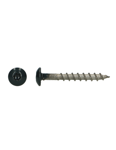 PARAFUSO dobradiça 4,5X35 TORX T20 Aço inoxidável A4 RAL7016 cinzento antracite