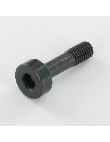 Parafuso de metais Aço inoxidável A2 PASSIVA Preto chave de 4 Parafuso cabeça oca sextavada M5X20 roscado sobre 8