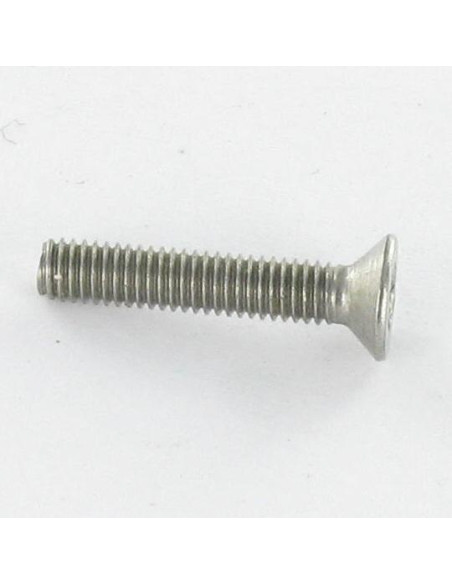 Parafuso de metais Aço inoxidável A2 Seguro cabeça fresada TORX T10 com pino M3X8 microparafusos