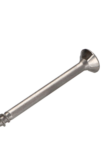 Parafusos de madeira e aglomerado TEKOR Aço inoxidável A2 cabeça fresada dentado TORX T25 6X100 roscado sobre 70