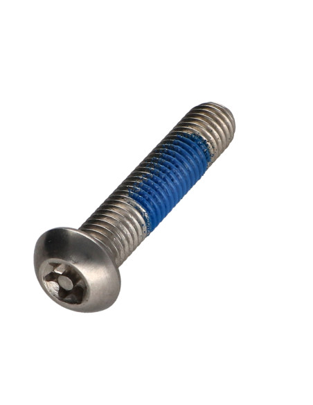 Parafuso de metais Aço inoxidável A2 Seguro cabeça panela TORX T40 com pino M8X40 Freio roscado