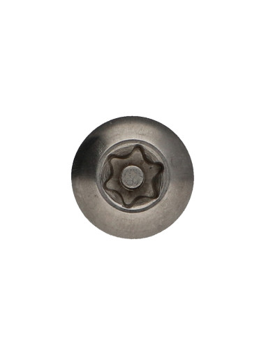 Parafuso de metais Aço inoxidável A2 Seguro cabeça panela TORX T40 com pino M8X40 Freio roscado