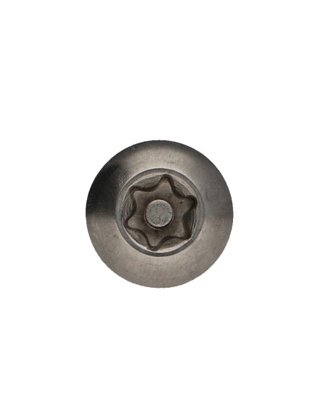 Parafuso de metais Aço inoxidável A2 Seguro cabeça panela TORX T40 com pino M8X40 Freio roscado