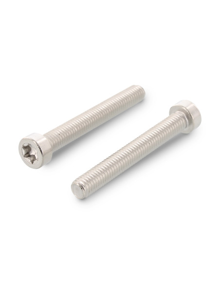 Parafuso de metais cabeça cilíndrica baixa TORX T30 M6X50 roscado sobre 38 Aço inoxidável A2
