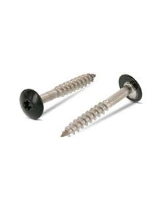 Parafusos rosca com cabeça de tremoço TORX T20 4,8X38 diâmetro da cabeça 12.3 Aço inoxidável A2 RAL6009 verde