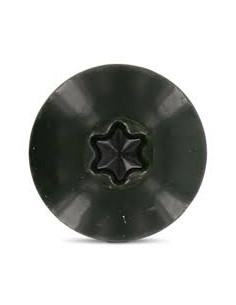 Parafusos rosca com cabeça de tremoço TORX T20 4,8X38 diâmetro da cabeça 12.3 Aço inoxidável A2 RAL6009 verde 2