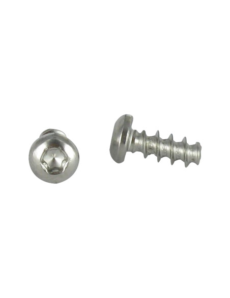 Parfuso de pvc cabeça abaulada larga 5X30 TORX T20 Aço inoxidável A2 400HBSSRR