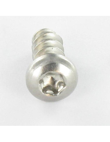 Parfuso de pvc cabeça abaulada larga 5X30 TORX T20 Aço inoxidável A2 400HBSSRR