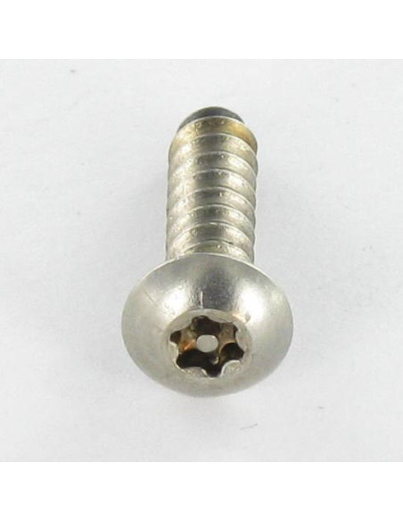Parafuso de chapa Seguro Aço inoxidável A2 cabeça cilíndrica TORX T15 com pino 4,2 x 32