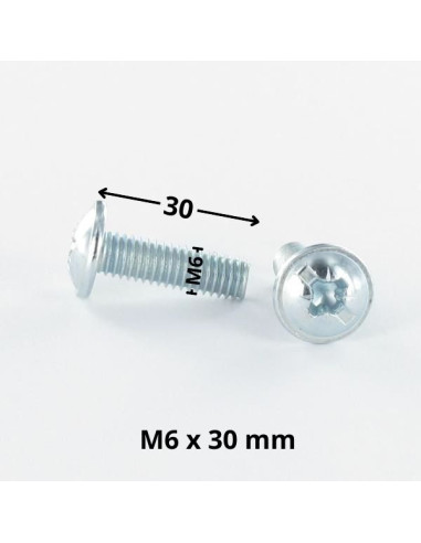 PARAFUSO cabeça de cogumelo Fenda Pozi M6X30 Aço zinco branco