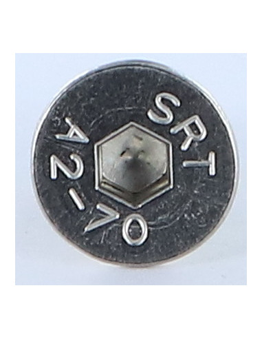 Parafuso de metais Aço inoxidável A2 cabeça fresada hexagonal oca FHC chave de 4 M6X10 rosca total