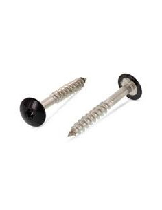 Parafusos rosca com cabeça de tremoço TORX T20 5,5 x 35 diâmetro da cabeça 12.3 Aço inoxidável A2 RAL9005 preto
