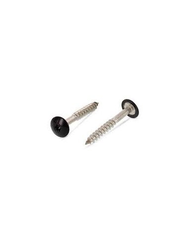Parafusos rosca com cabeça de tremoço TORX T20 5,5 x 35 diâmetro da cabeça 12.3 Aço inoxidável A2 RAL9005 preto