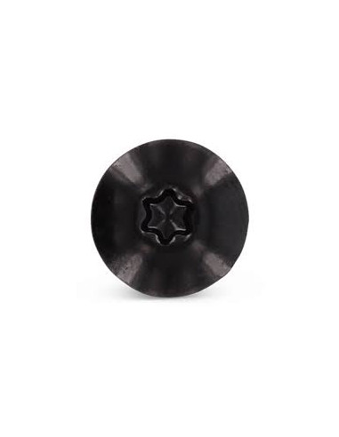 Parafusos rosca com cabeça de tremoço TORX T20 5,5 x 35 diâmetro da cabeça 12.3 Aço inoxidável A2 RAL9005 preto