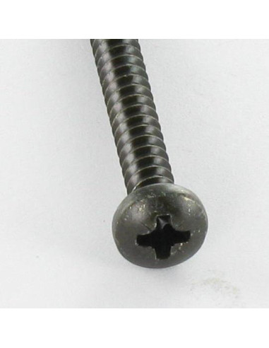Parafuso de chapa Aço inoxidável A2 cabeça abaulada larga Pozi 2,9 x 6,4 Preto