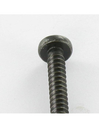 Parafuso de chapa Aço inoxidável A2 cabeça abaulada larga Pozi 2,9 x 6,4 Preto