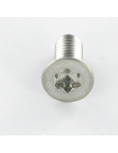Parafuso de metais cabeça fresada TORX T30 M6X50 Aço inoxidável A4 2