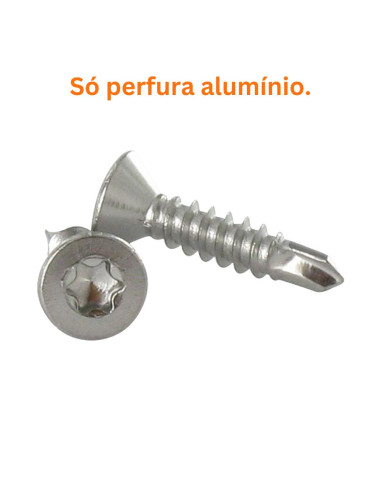 Autoperfurante Aço inoxidável A2 cabeça fresada 3,9 x 13 TORX T15