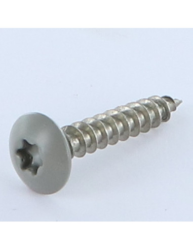 PARAFUSO dobradiça 6X35 roscado sobre 30 TORX T30 Aço inoxidável A2 RAL7023