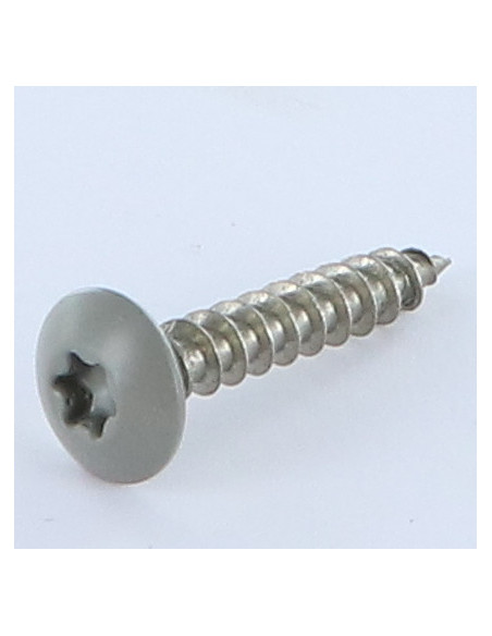 PARAFUSO dobradiça 6X35 roscado sobre 30 TORX T30 Aço inoxidável A2 RAL7023