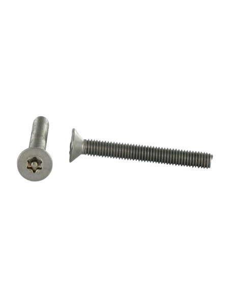 Parafuso de metais Aço inoxidável A2 Seguro cabeça fresada TORX T25 com pino M5X20