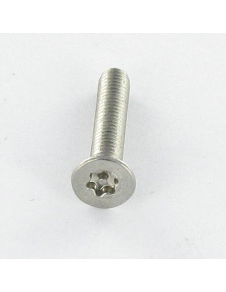 Parafuso de metais Aço inoxidável A2 Seguro cabeça fresada TORX T25 com pino M5X20