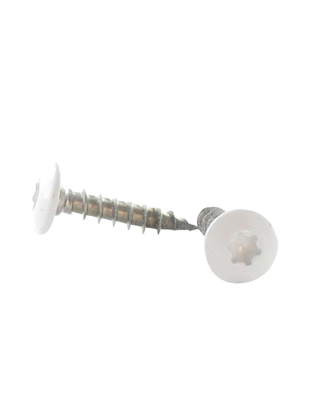 PARAFUSO dobradiça 7X40 roscado sobre 38 TORX T30 Aço inoxidável A2 RAL9010 branco puro 80% BRILHANTE