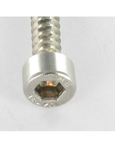 Parafuso de chapa Parafuso cabeça oca sextavada Aço inoxidável A2 4,8X19