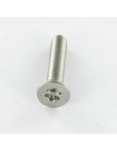 Parafuso de metais Aço inoxidável A2 Seguro cabeça fresada TORX T30 com pino M6X50