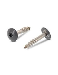 Parafusos rosca com cabeça de tremoço TORX T20 5,5 x 35 diâmetro da cabeça 12.3 Aço inoxidável A2 RAL7012 cinza